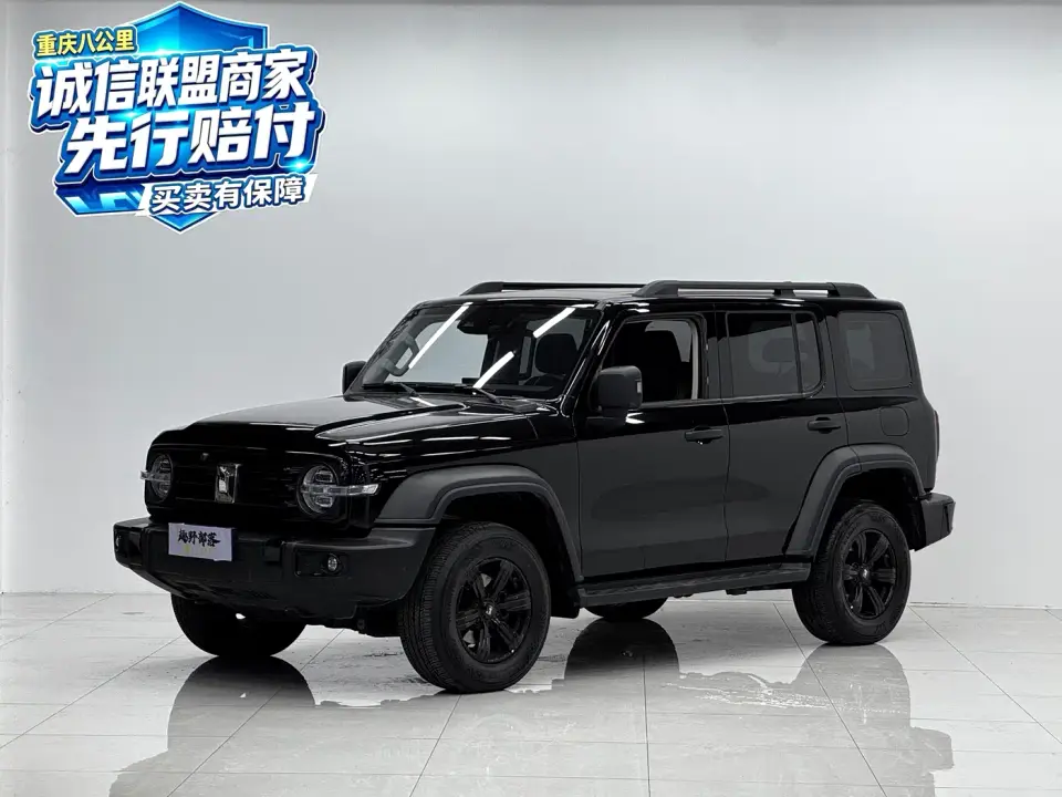 Tank 300 2.4T Diesel Version 2025