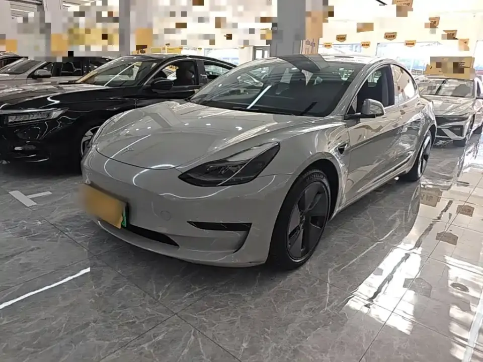 Tesla Model 3 Standard Range Rear-Wheel Drive Upgrade 3D6 2021