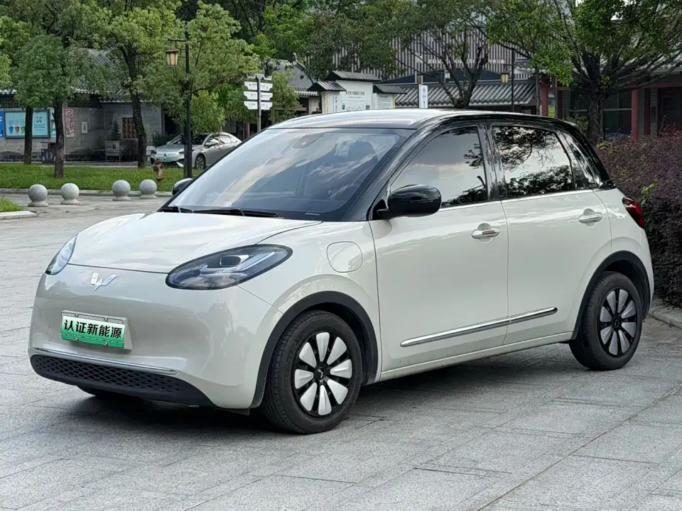Wuling Motors Wuling Bingo Model 333km Telepathic Connect+ Version 2023