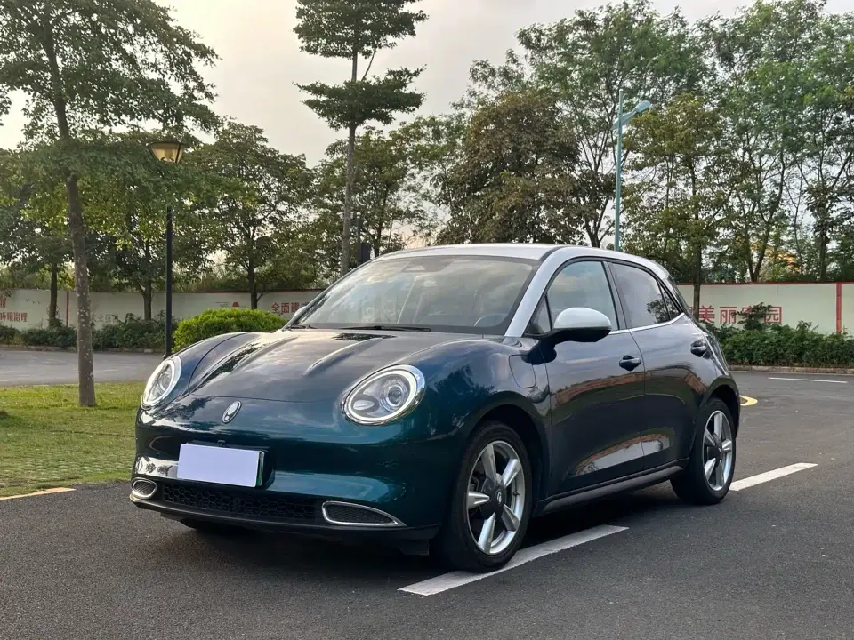 ORA Good Cat 400km Standard Range Luxury LFP 2022