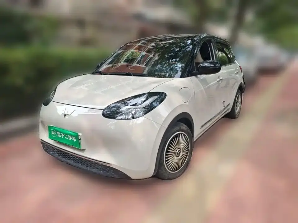 Wuling Motors Wuling Bingo 333km Comfort Edition 2024