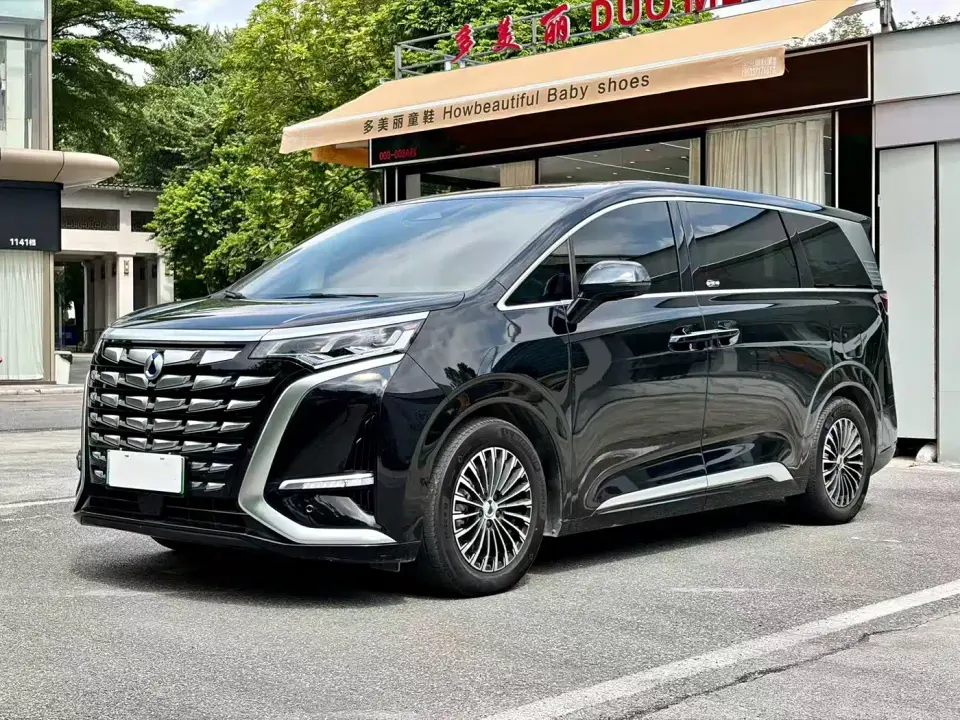 Denza D9 DM-i 1050 Premium 2024