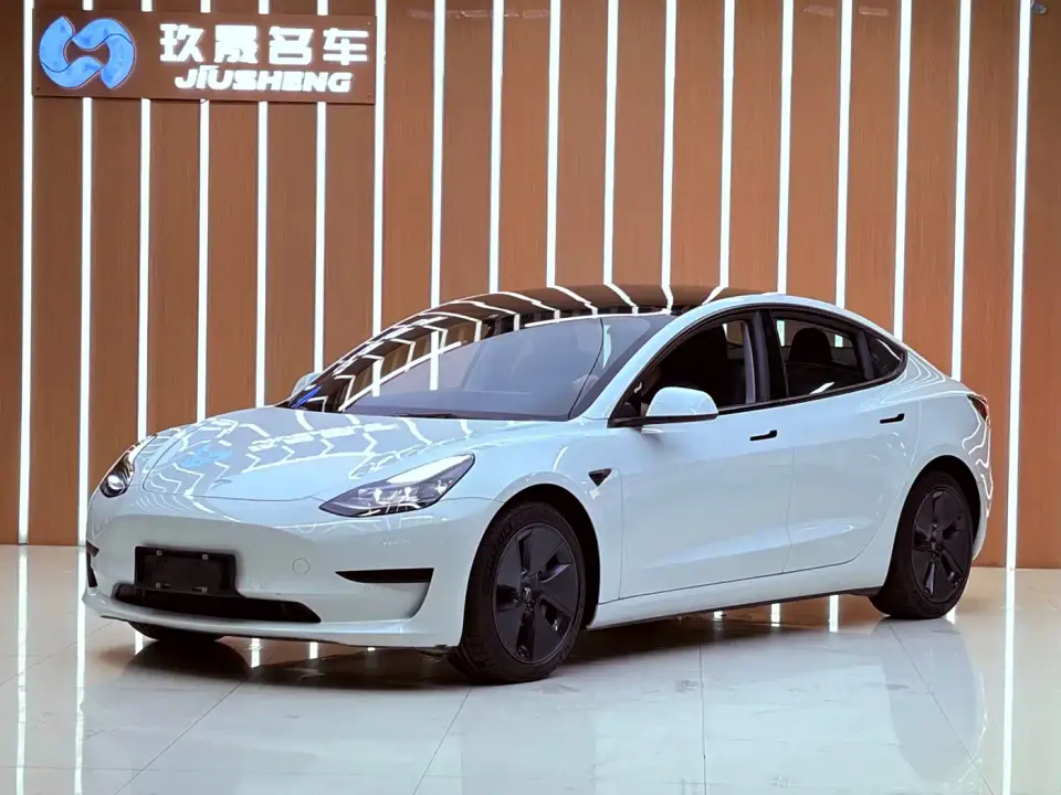 Tesla Model 3 Standard Range Rear-Wheel Drive Upgrade 3D6 2021