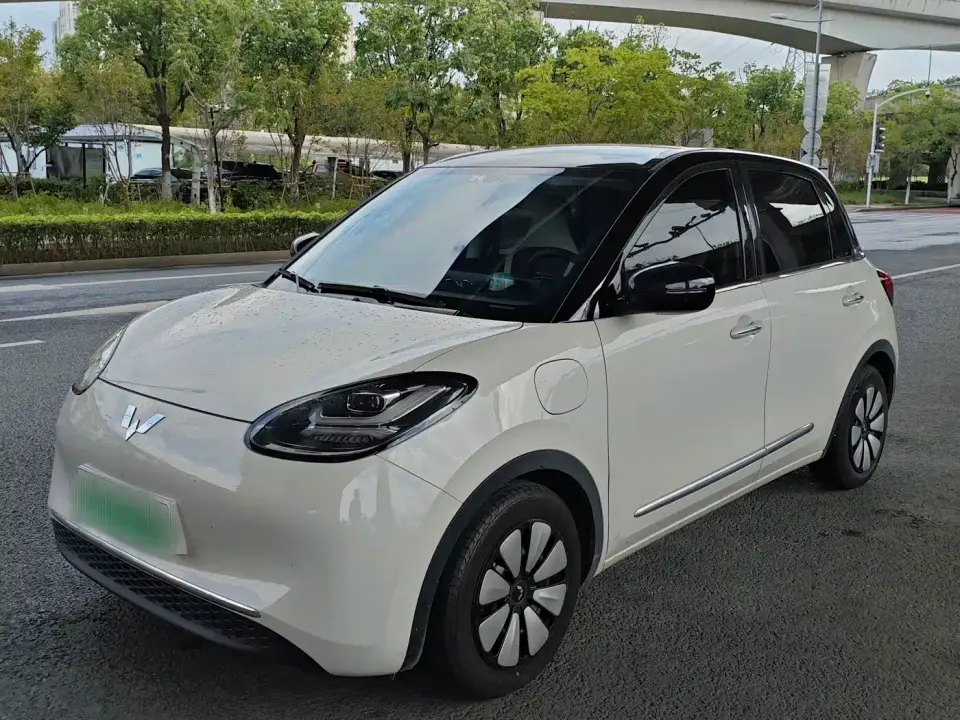 Wuling Motors Wuling Bingo Model 333km Smart Premium 2025