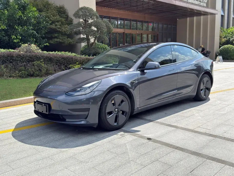 Tesla Model 3 Standard Range Rear-Wheel Drive Upgrade 3D6 2021