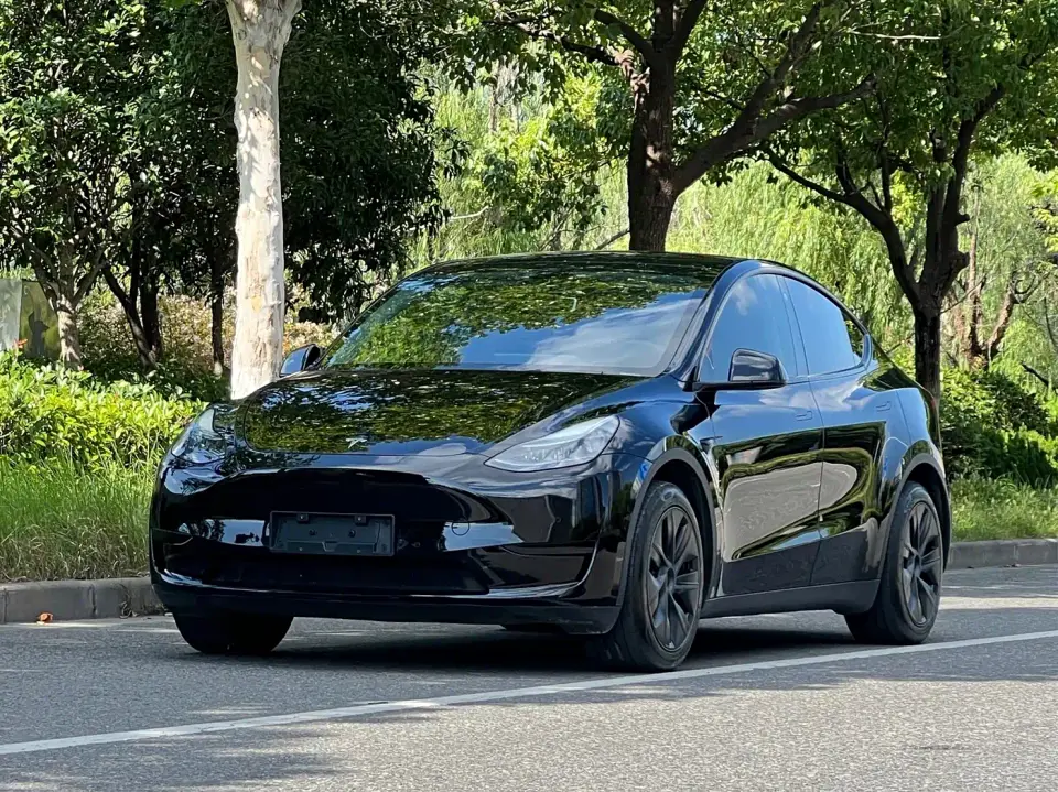 Tesla Model Y Rear-Wheel Drive Edition 2024