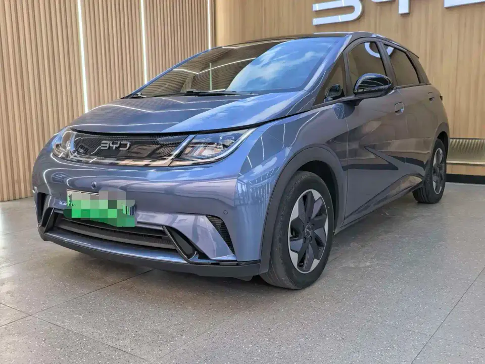 BYD Dolphin Glory Edition 420km Fashion Edition 2024