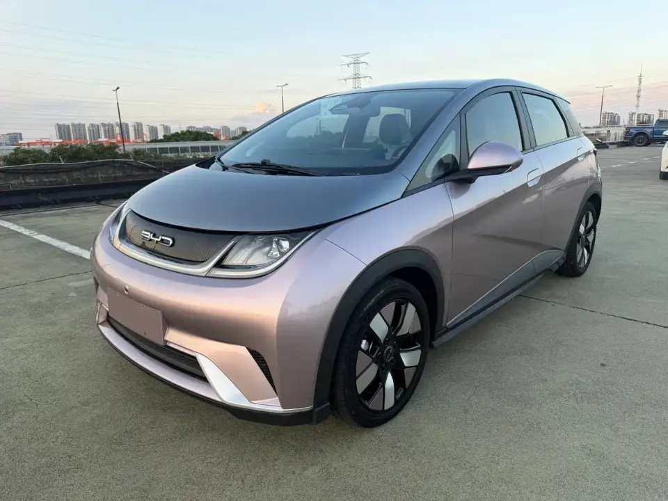 BYD Dolphin 401km Knight Edition 2021