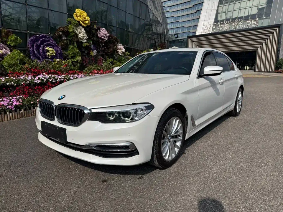 BMW 5 Series 530Li Leading Luxury Package 2019