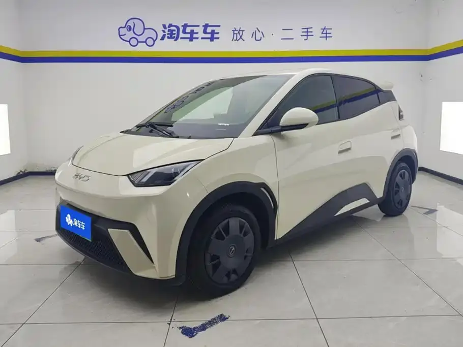BYD Seagull Glory Edition 305km Vitality Edition 2024