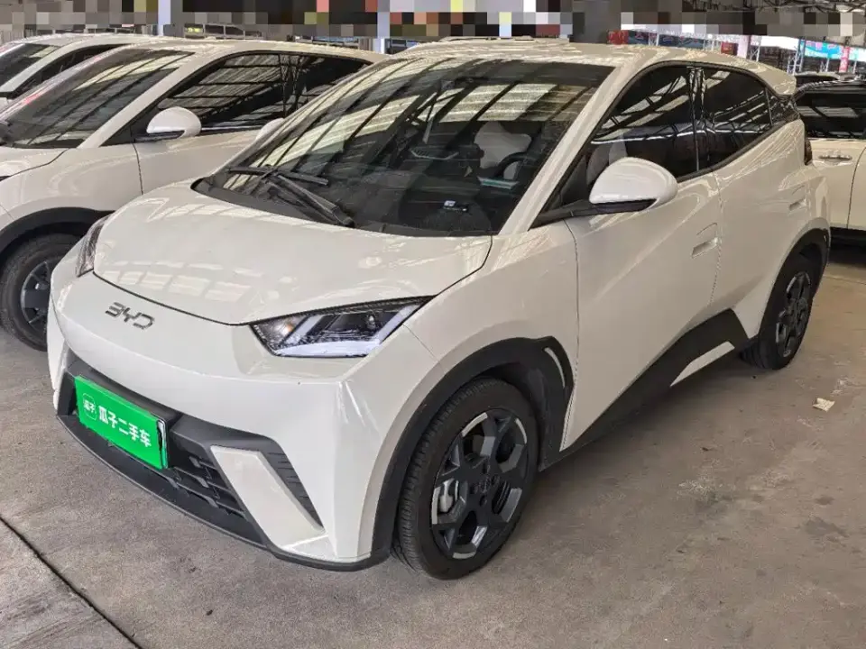 BYD Seagull 305km Freedom 2024