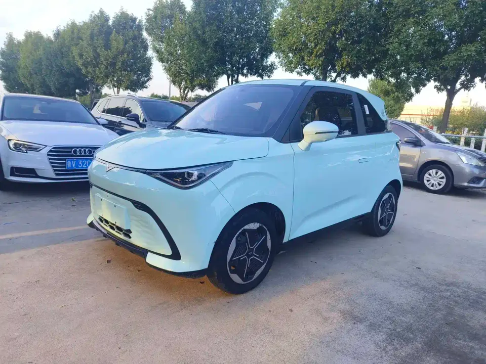 Cowin October Model 301km Wind Chaser Edition 2024