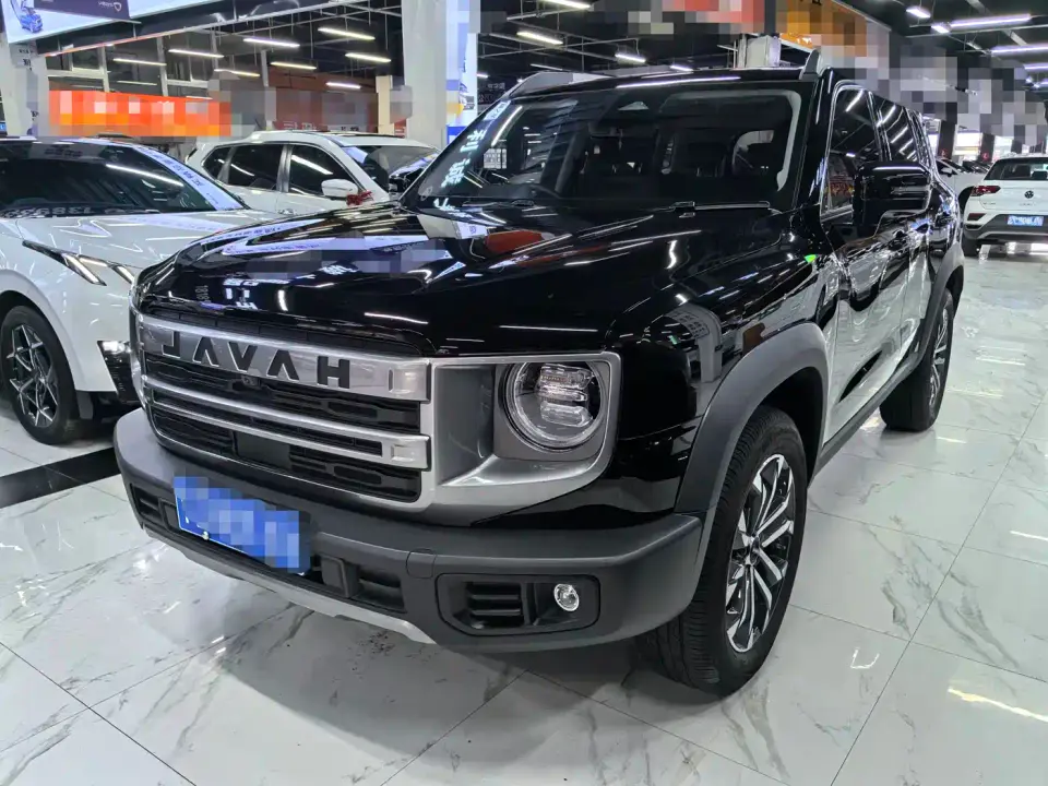 Haval Big Dog 1.5T DCT Border Collie Edition 2024