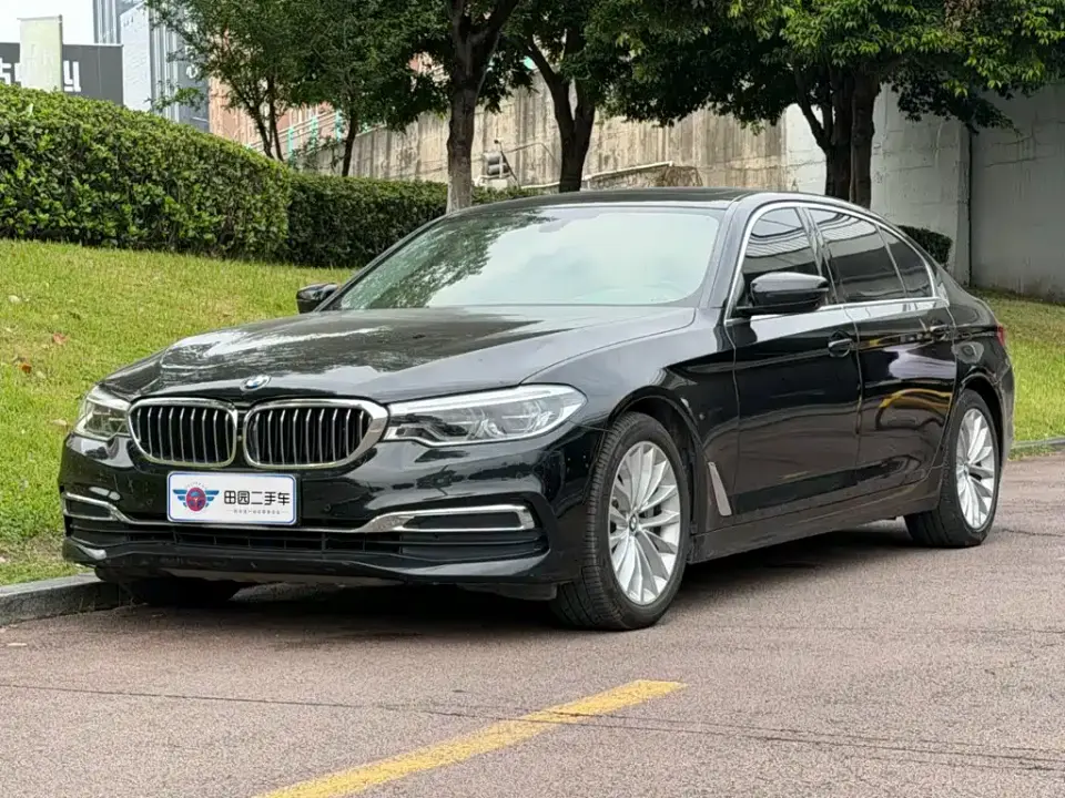 BMW 5 Series 530Li Premium Luxury Package 2020