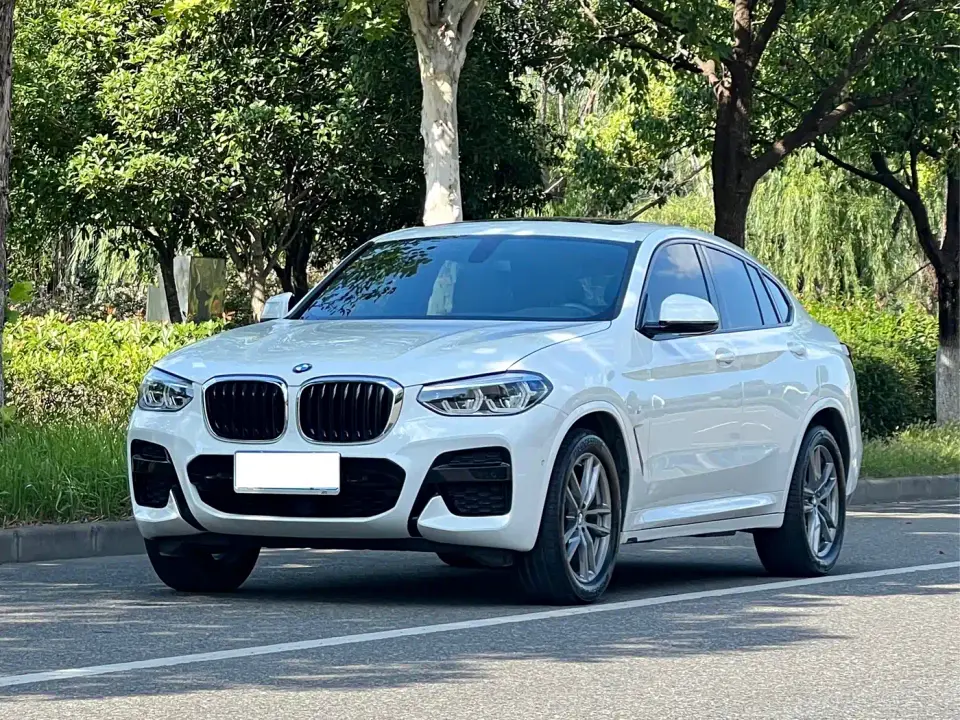 BMW X4 xDrive25i M Sport Package 2020