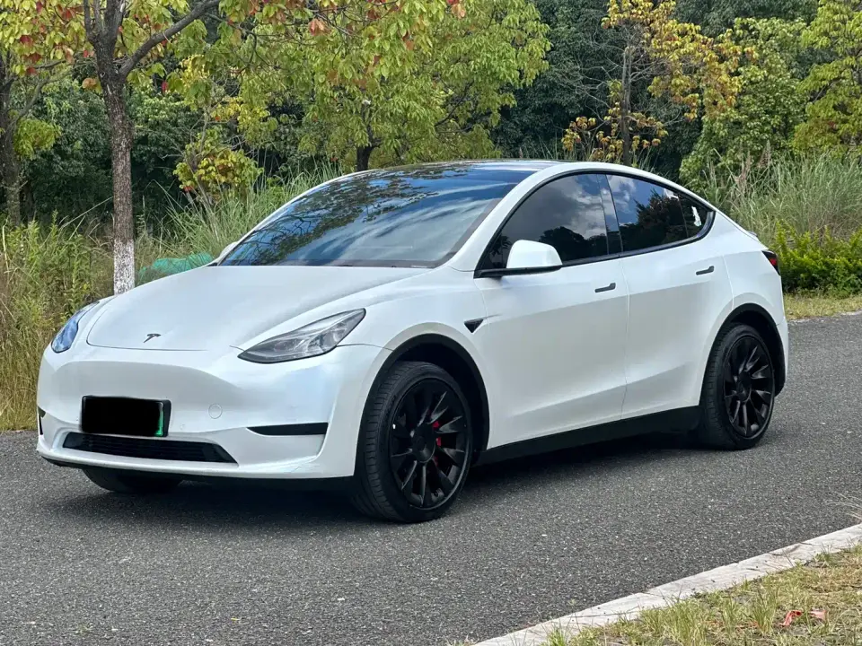 Tesla Model Y Rear-Wheel Drive Edition 2024