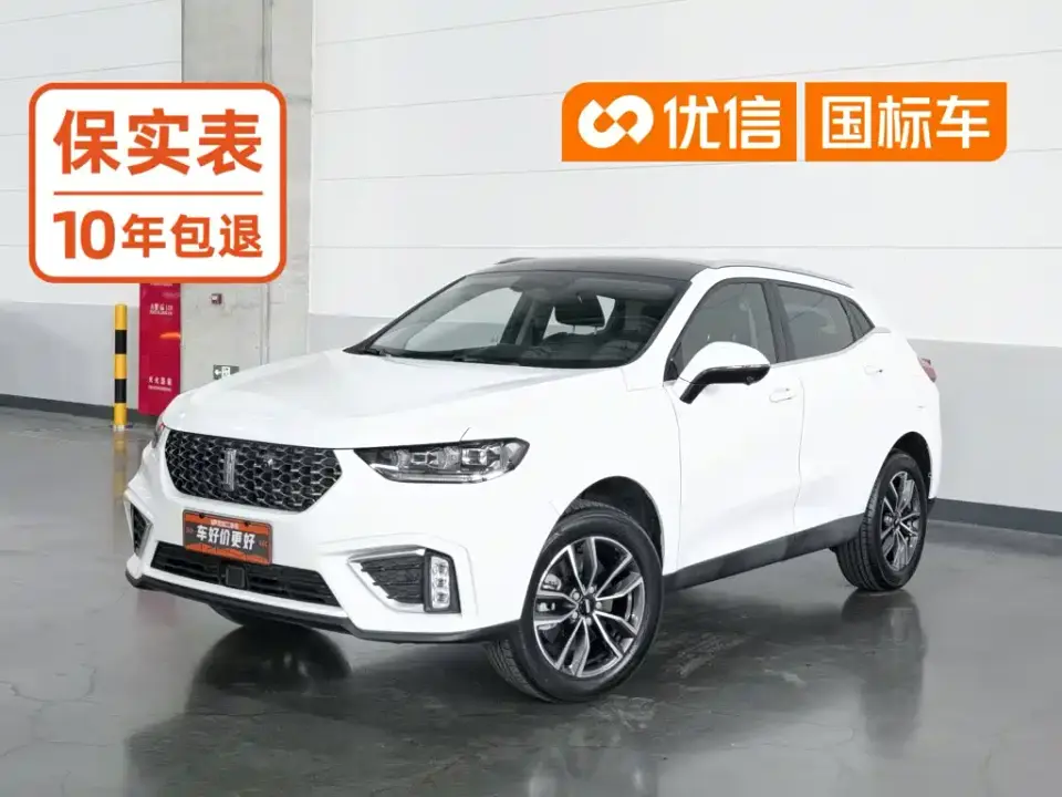 Wey VV5 1.5T 2WD Smart Pioneer 2021