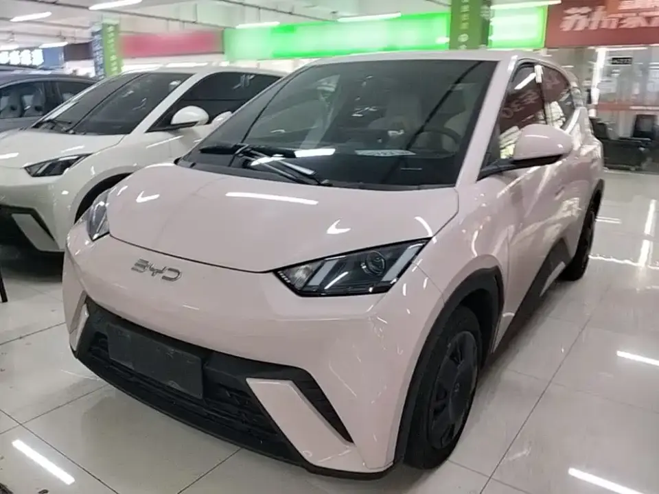 BYD Seagull Glory Edition 305km Vitality Edition 2024