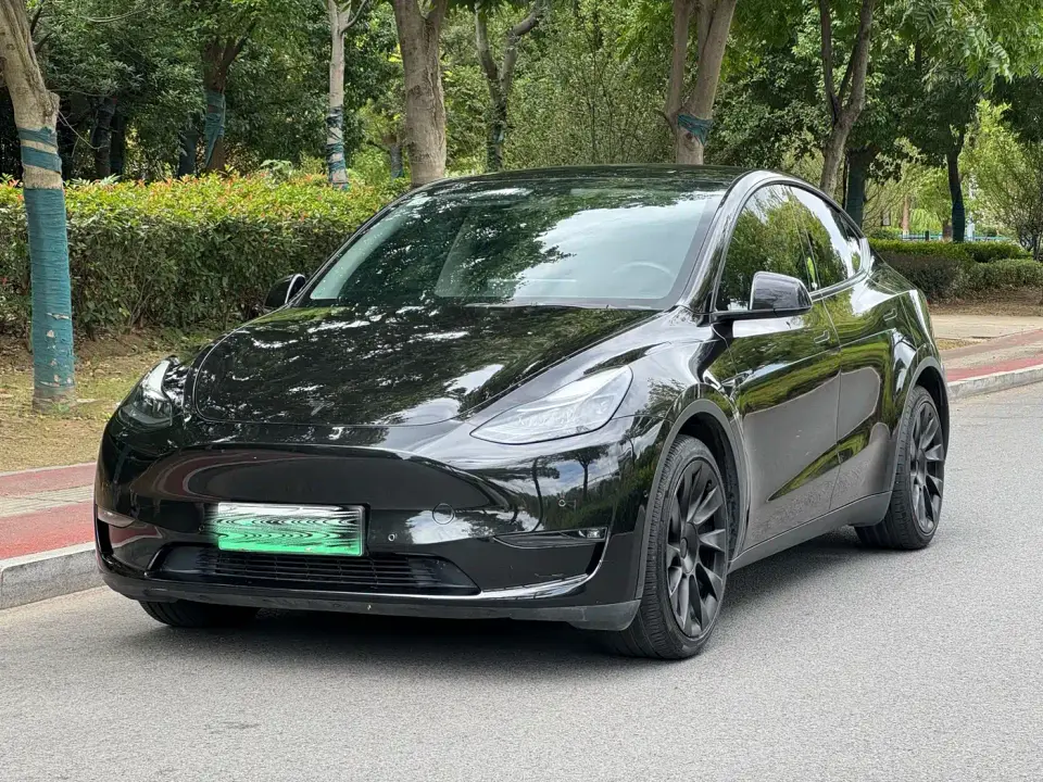 Tesla Model Y Model Long Range AWD 2021