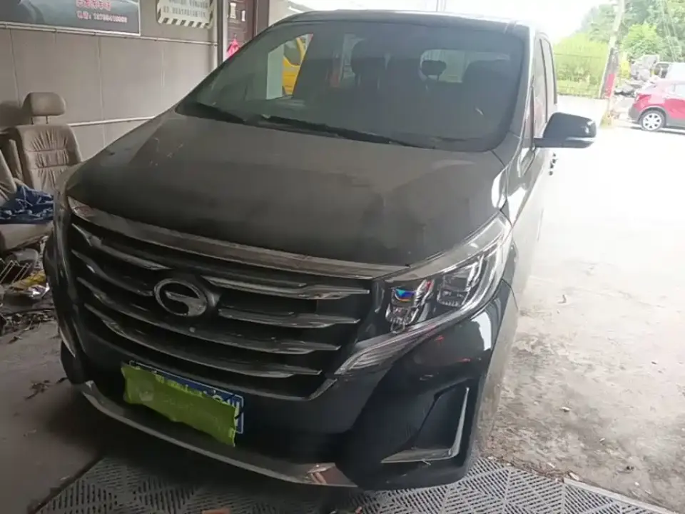 GAC Trumpchi M8 Pilot 390T Premium Edition 2020
