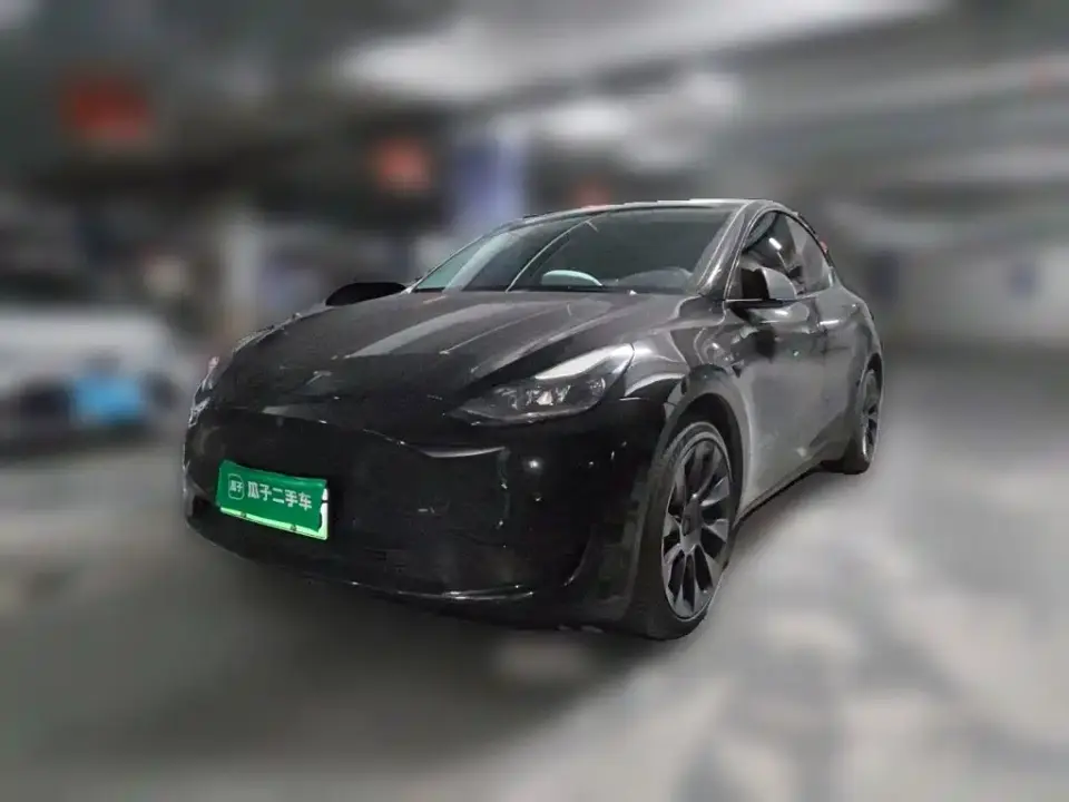 Tesla Model Y Rear-Wheel Drive Version 2022