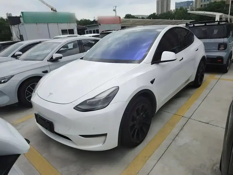 Tesla Model Y Model Long Range AWD 2021