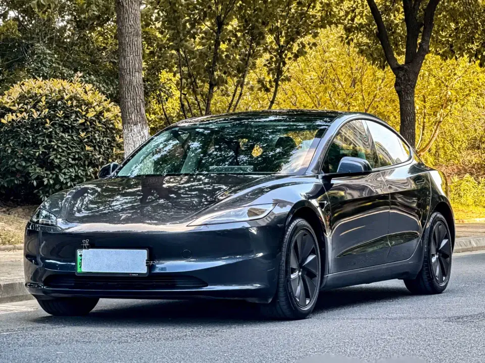 Tesla Model 3 Model Rear-Wheel Drive Edition 2025