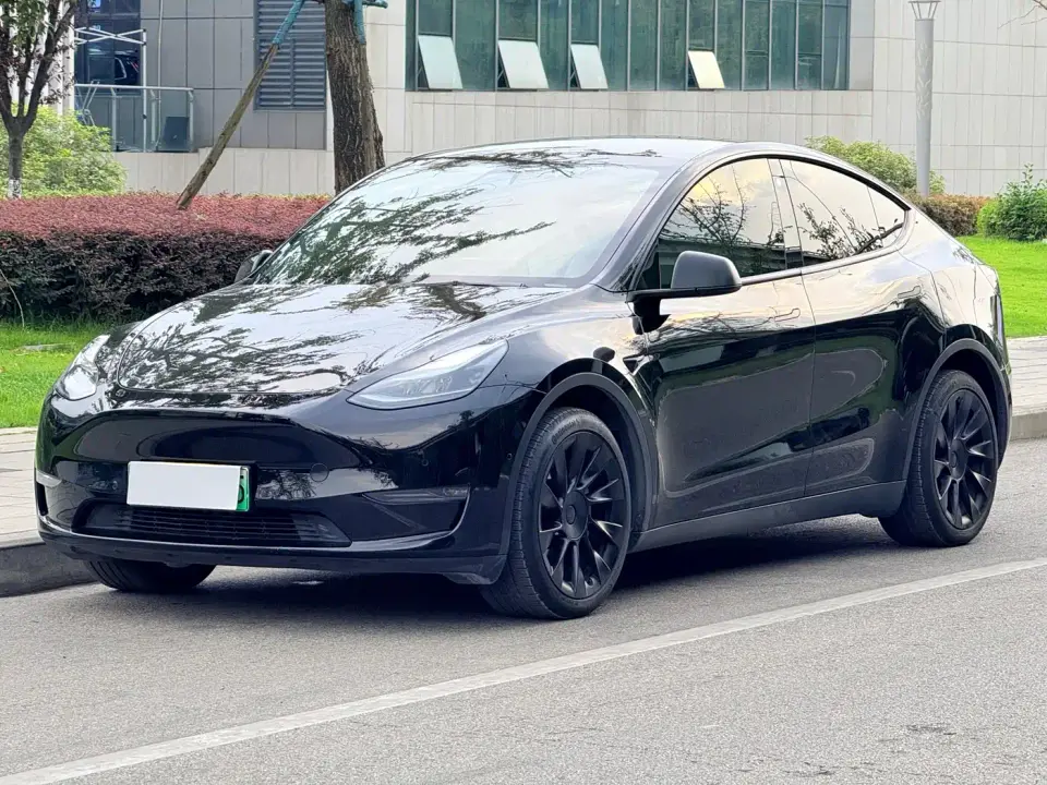 Tesla Model Y Model Long Range AWD 2021