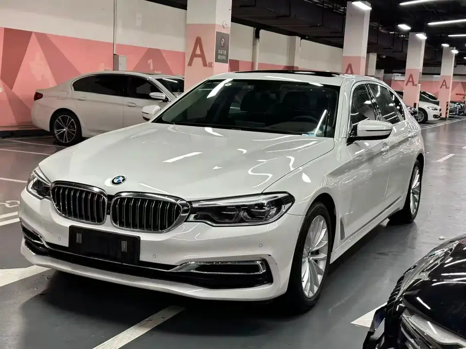 BMW 5 Series 530Li Premium Luxury Package 2020
