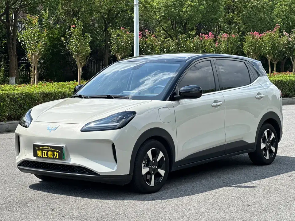 Wuling Motors Wuling Binguo PLUS 510km Range 5-seater 2025