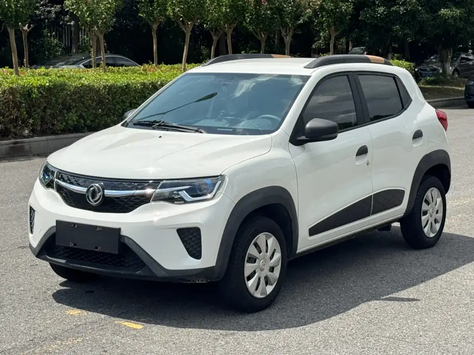 Dongfeng Yipai Dongfeng Nano EX1 Premium Enjoyment Edition 2021
