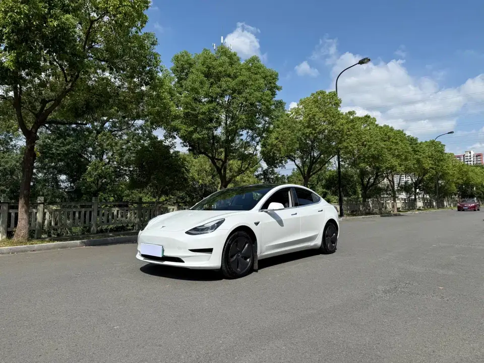 Tesla Model 3 Standard Range Rear-Wheel Drive Upgrade 2020