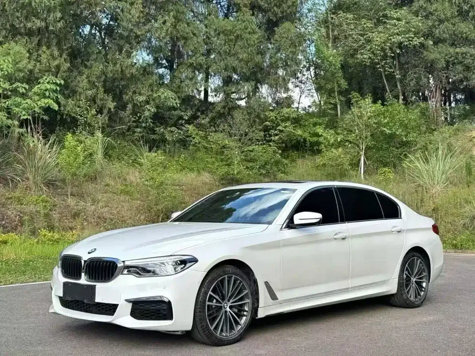 BMW 5 Series 530Li Leading M Sport Package 2020