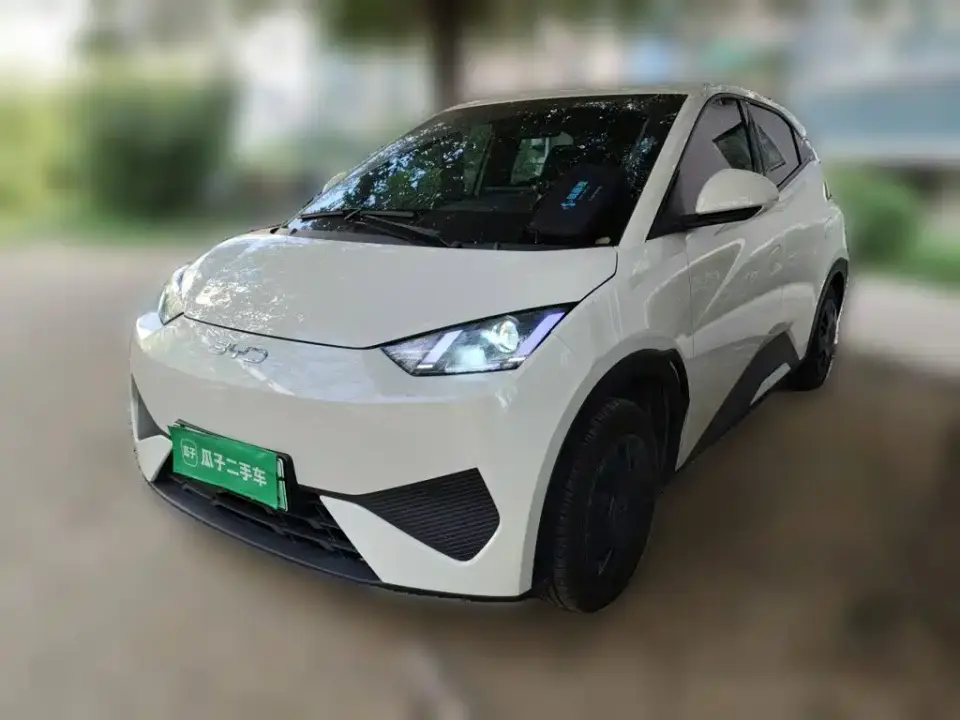 BYD Seagull Smart Drive Edition 305km Vitality Version 2026
