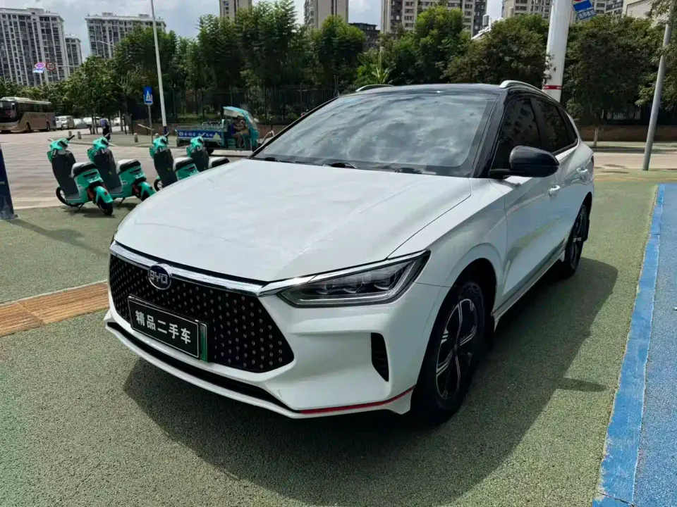 BYD e2 Standard Range Intelligent Comfort 2019