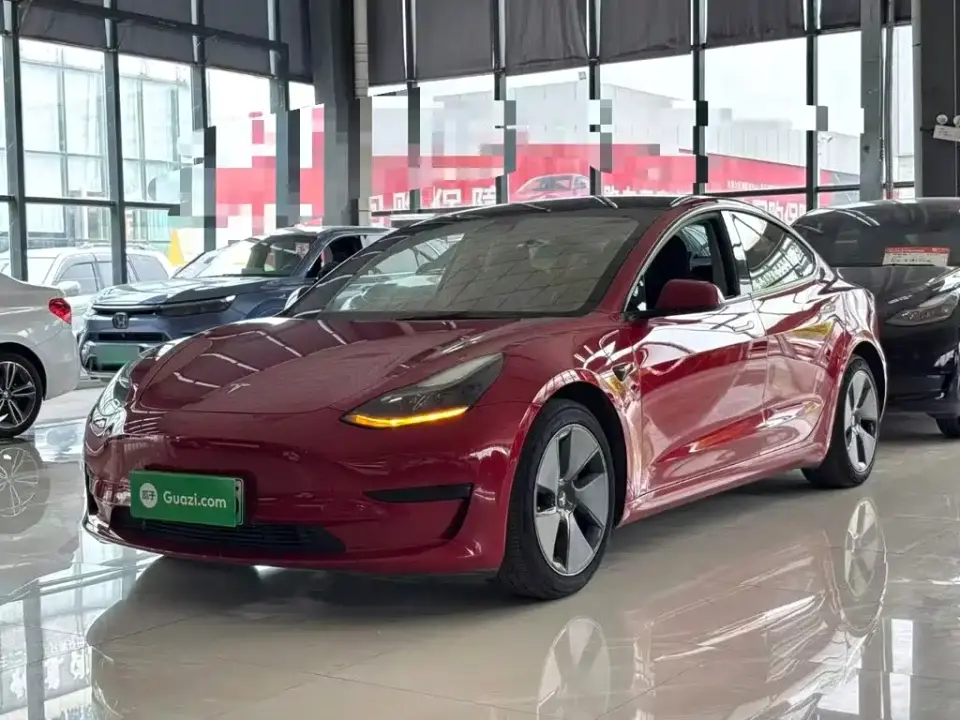 Tesla Model 3 Standard Range Rear-Wheel Drive Upgrade 3D6 2021