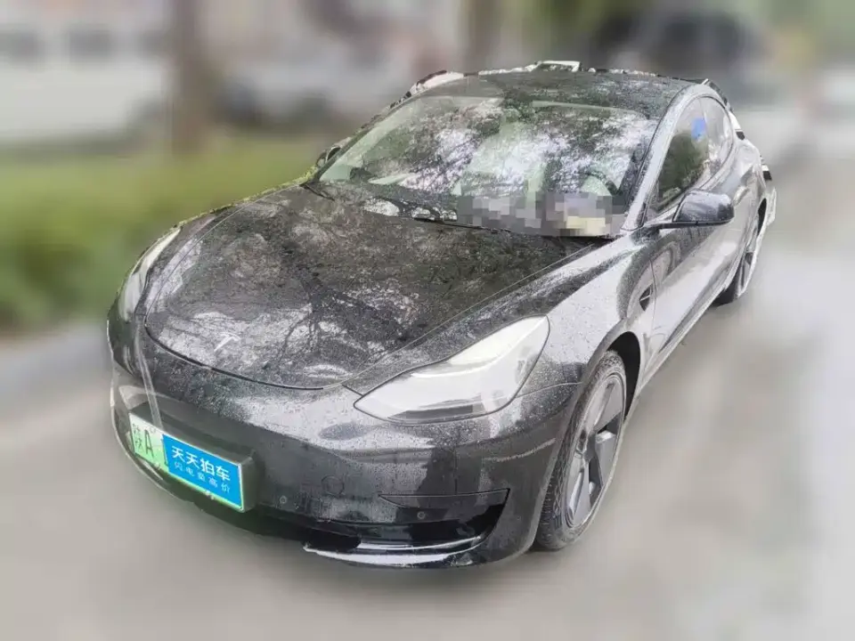 Tesla Model 3 Standard Range Rear-Wheel Drive Upgrade 3D6 2021