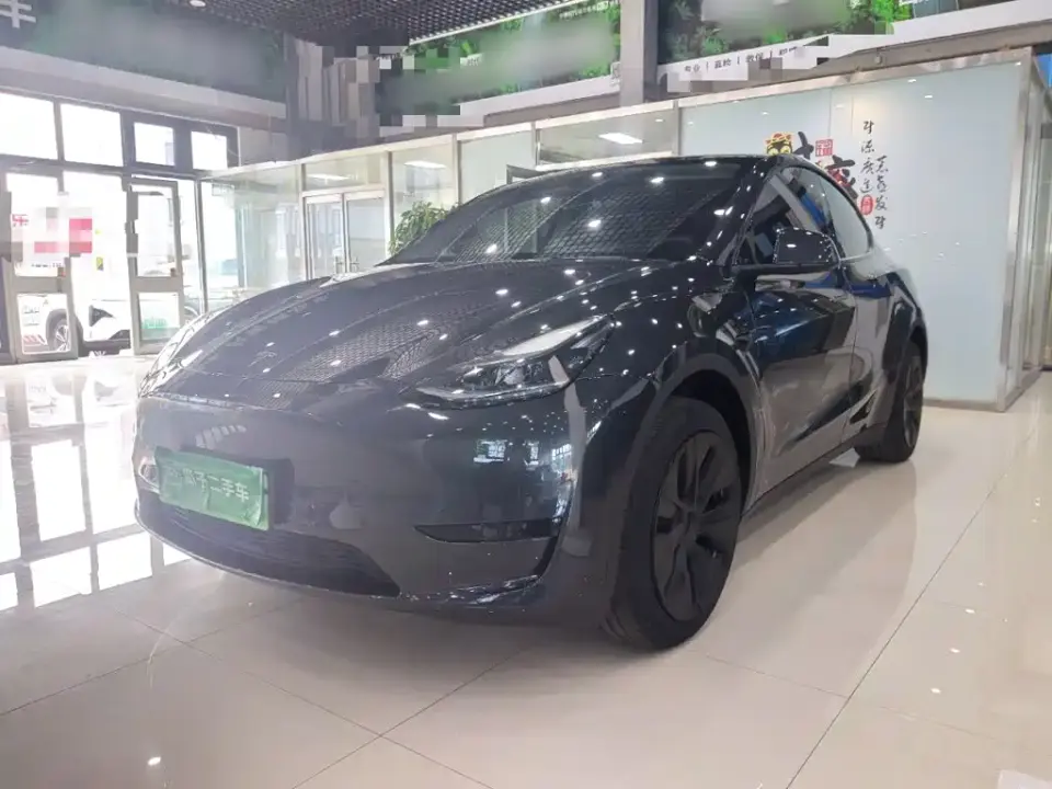 Tesla Model Y Rear-Wheel Drive Version 2024