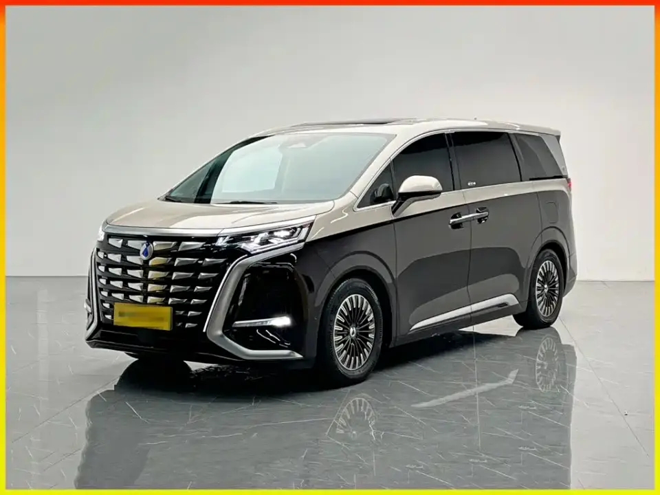 Denza D9 PIONEER 4-Seater Pioneer Edition 2024
