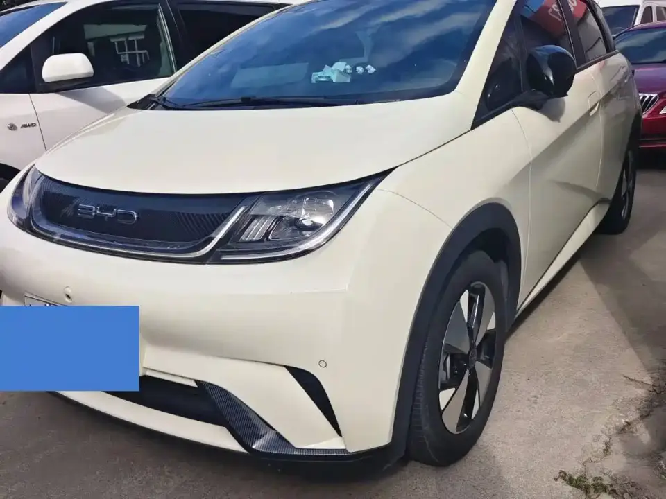 BYD Dolphin 420km Fashion Edition 2023