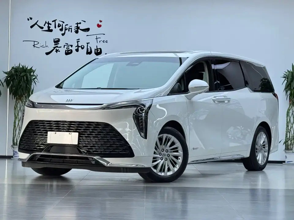 Buick Century 2.0T 7-Seater World Edition 2024
