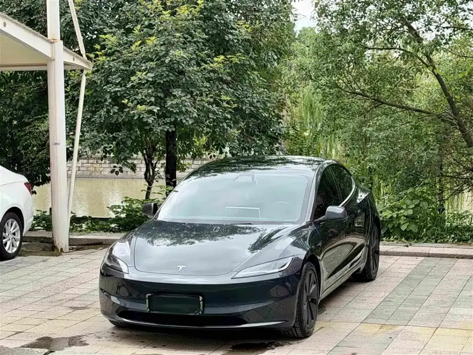 Tesla Model 3 Model Rear-Wheel Drive Edition 2025