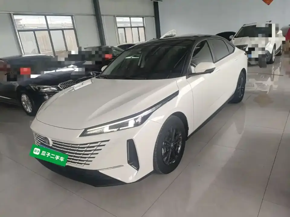 Changan Yida Blue Whale NE 1.5T GDI DCT Exclusive 2024
