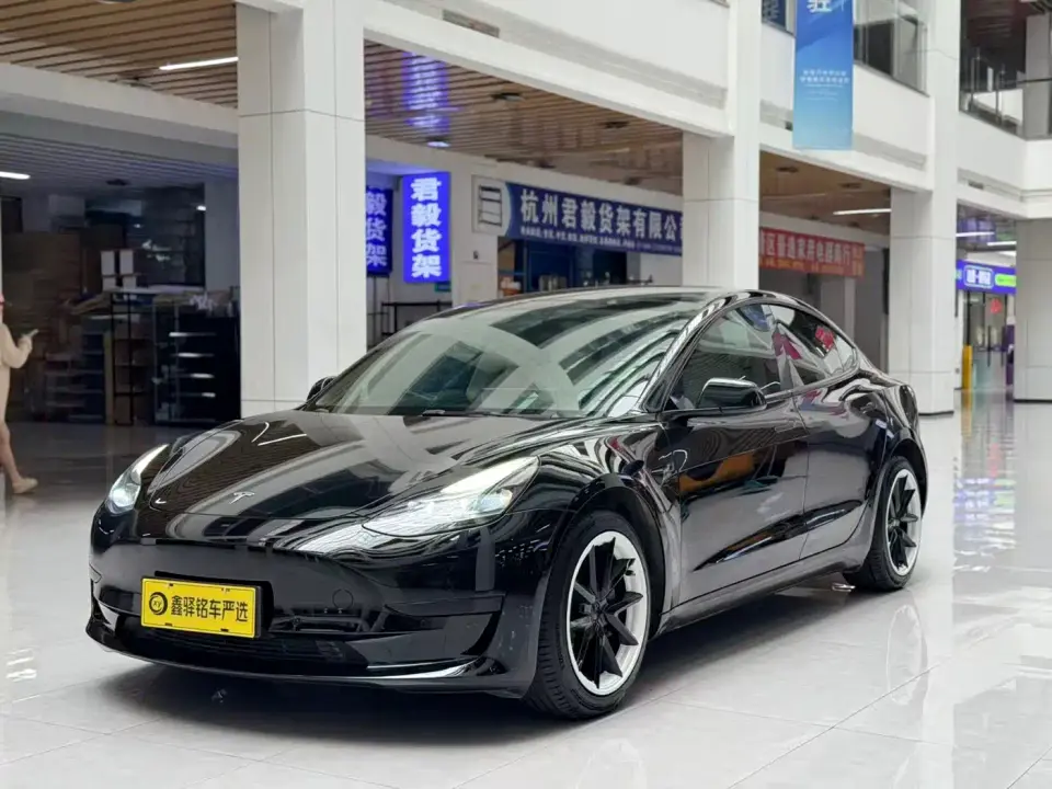 Tesla Model 3 Model Rear-Wheel Drive Version 2022