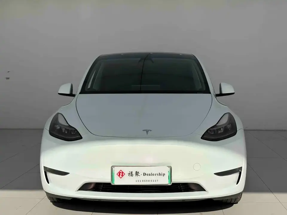 Tesla Model Y Standard Range Rear-Wheel Drive 2021