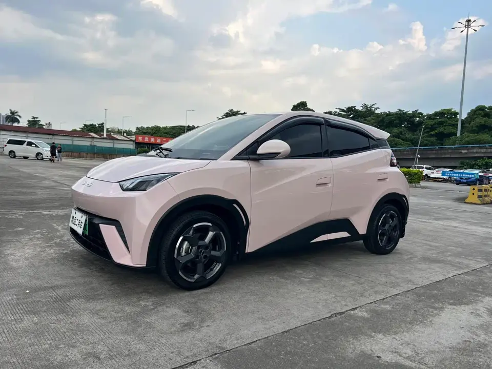 BYD Seagull Glory Edition 305km Freedom Edition 2024