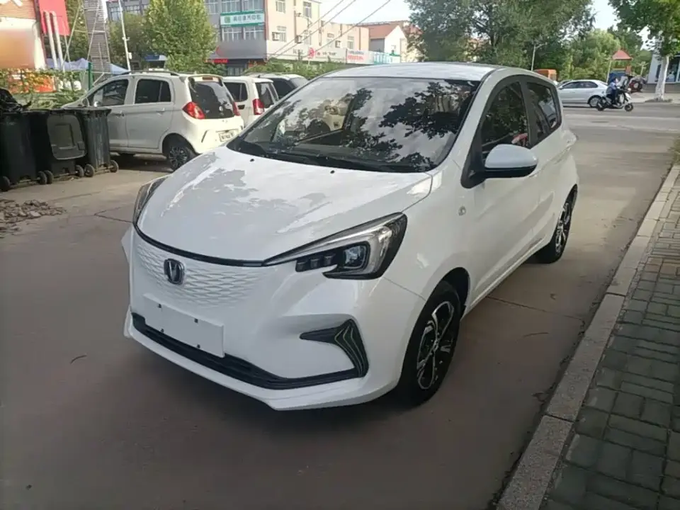 Changan Benben E-Star Model Happy Edition (LFP 31.18kWh) 2020