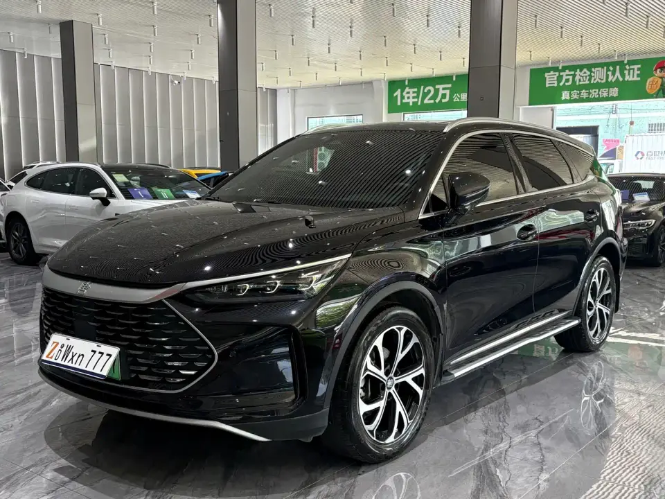 BYD Tang New Energy DM-i 115KM Prestige Type 2024
