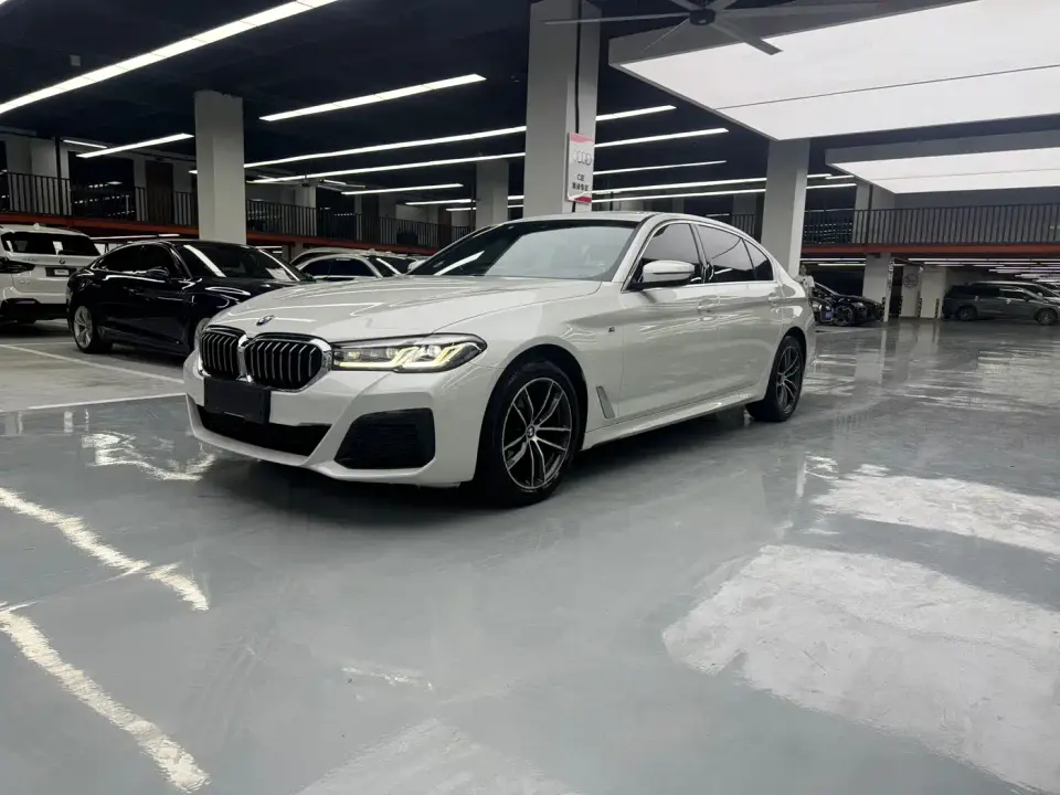 BMW 5 Series 530Li Leading M Sport Package 2021