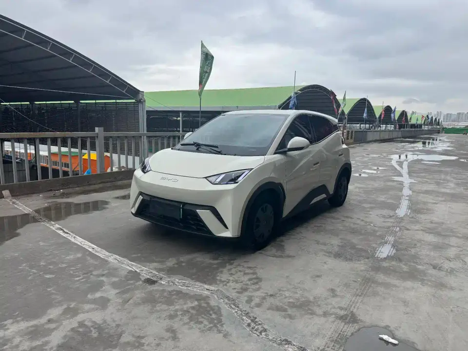 BYD Seagull Freedom Edition 2024